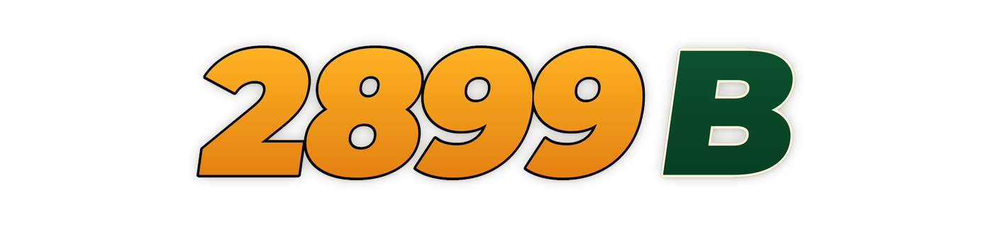 2899b
